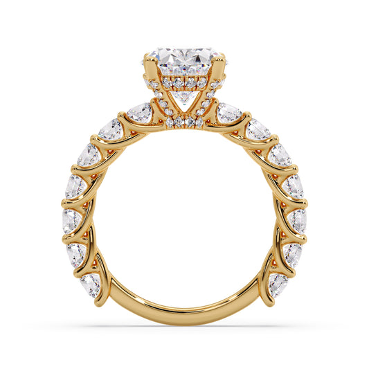 Oval diamond ring in my infinite round setting