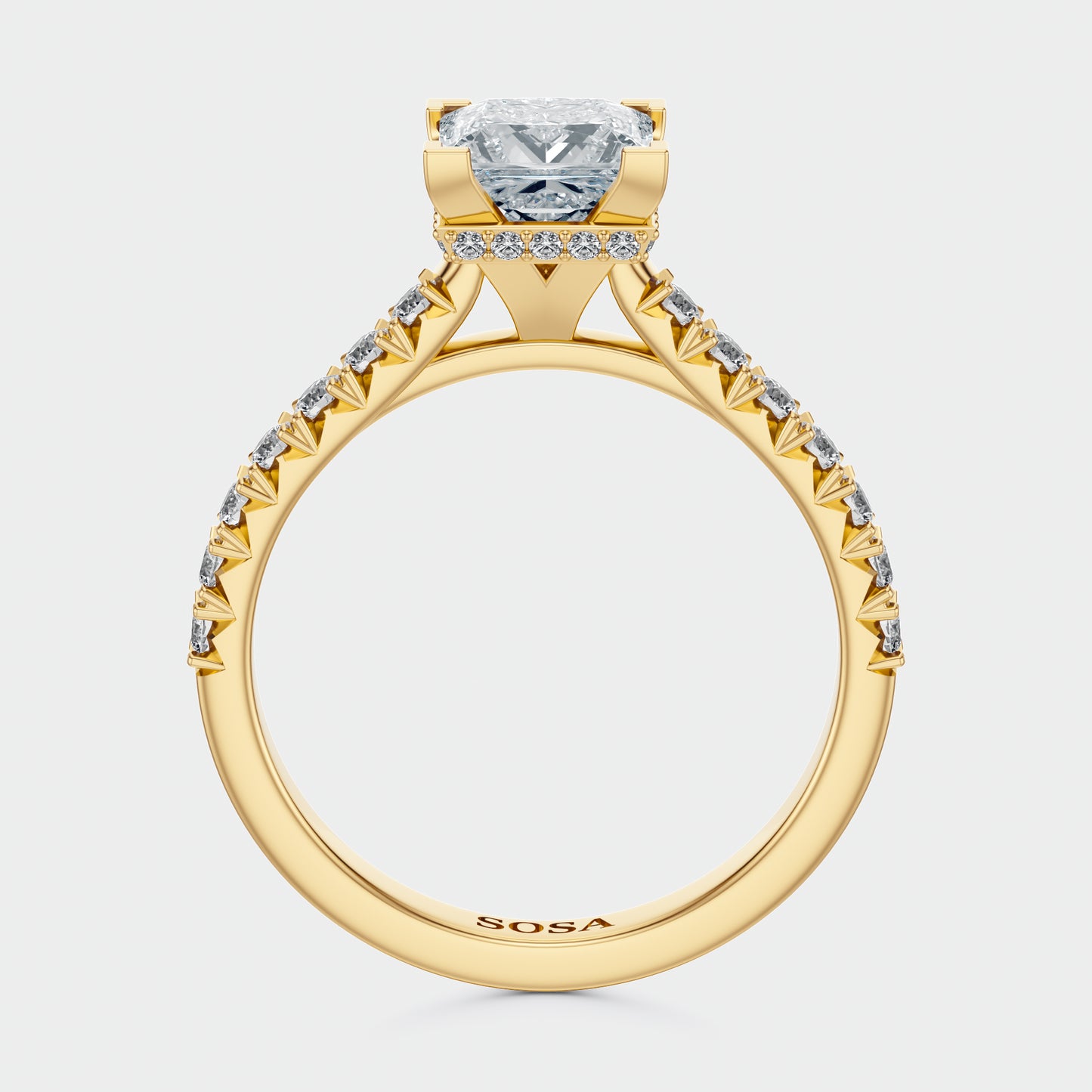 1.5 Carat princess cut luna setting