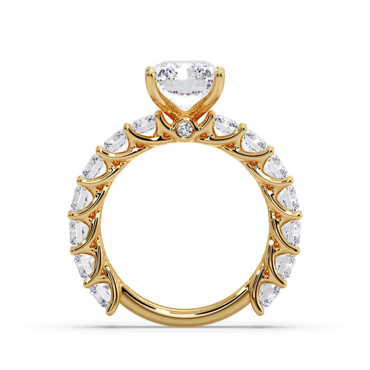 2.5CT Radiant VVS1 E color