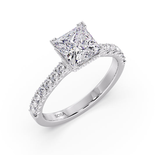 Princess cut luna setting